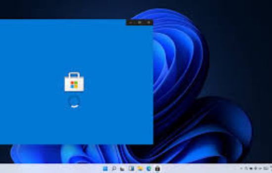 Windows 11 
Microsoft store 