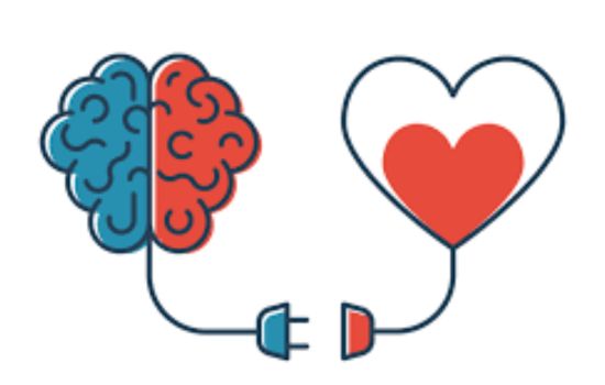 Emotional intelligence 