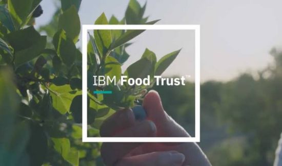 IBM Food Trust 