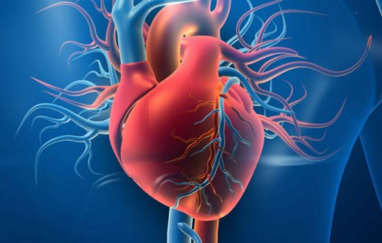 cardiovascular disease