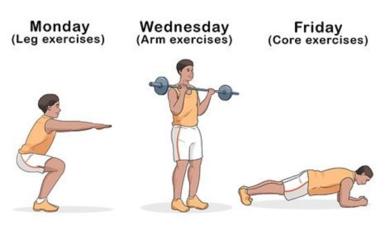 Plan your Exercise